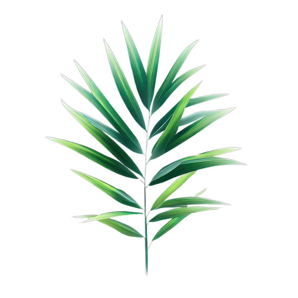 aislado tropical y verano planta png