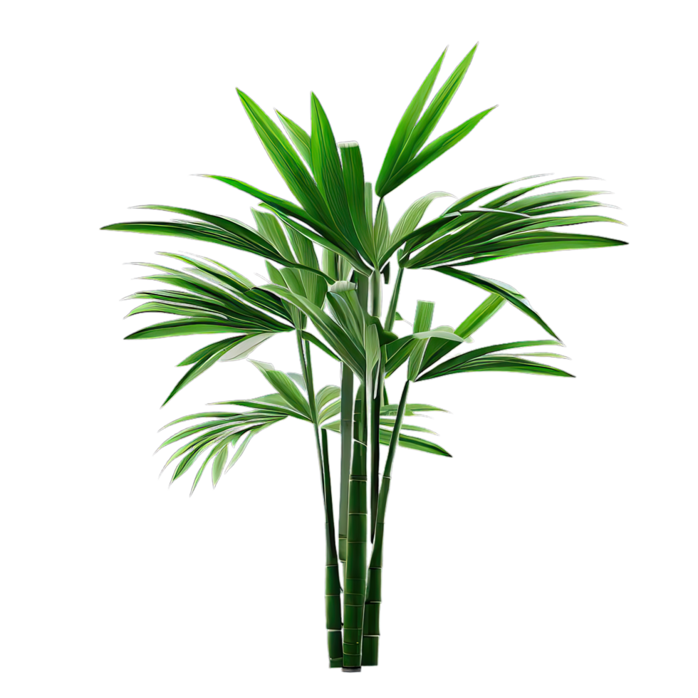 isolated tropical and summer plant png