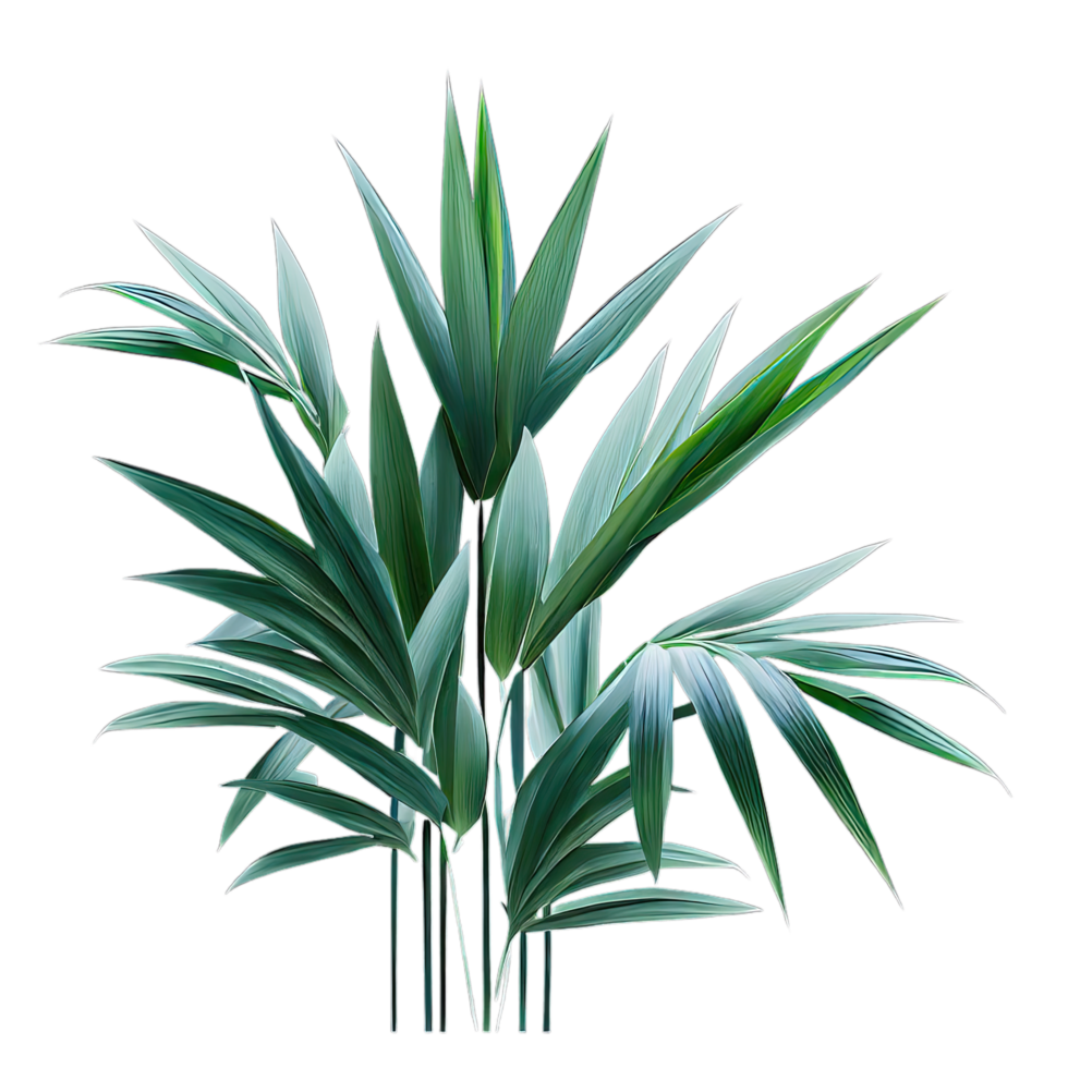 aislado tropical y verano planta png