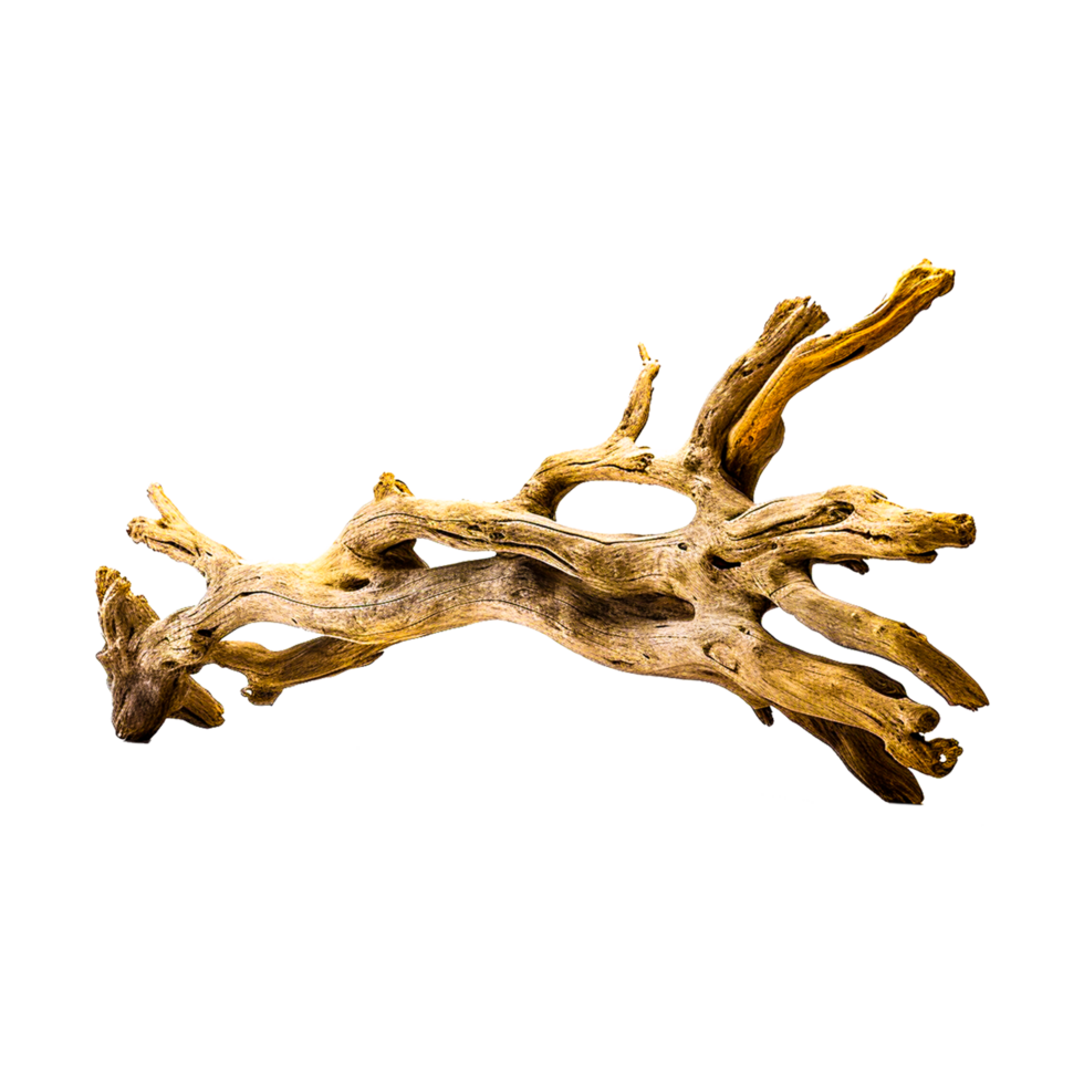 Teak Driftwood Sculpture 24488910 PNG