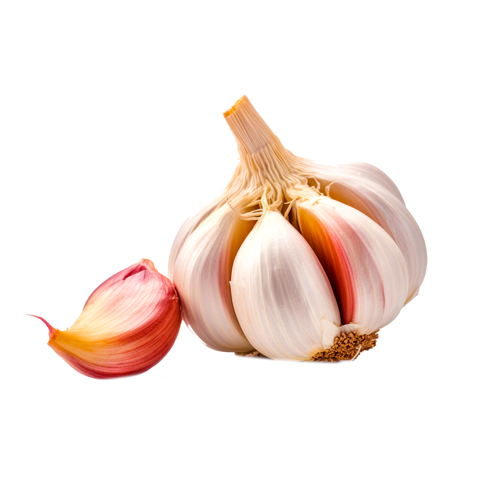 Garlic Onion Vegetable 24488934 PNG