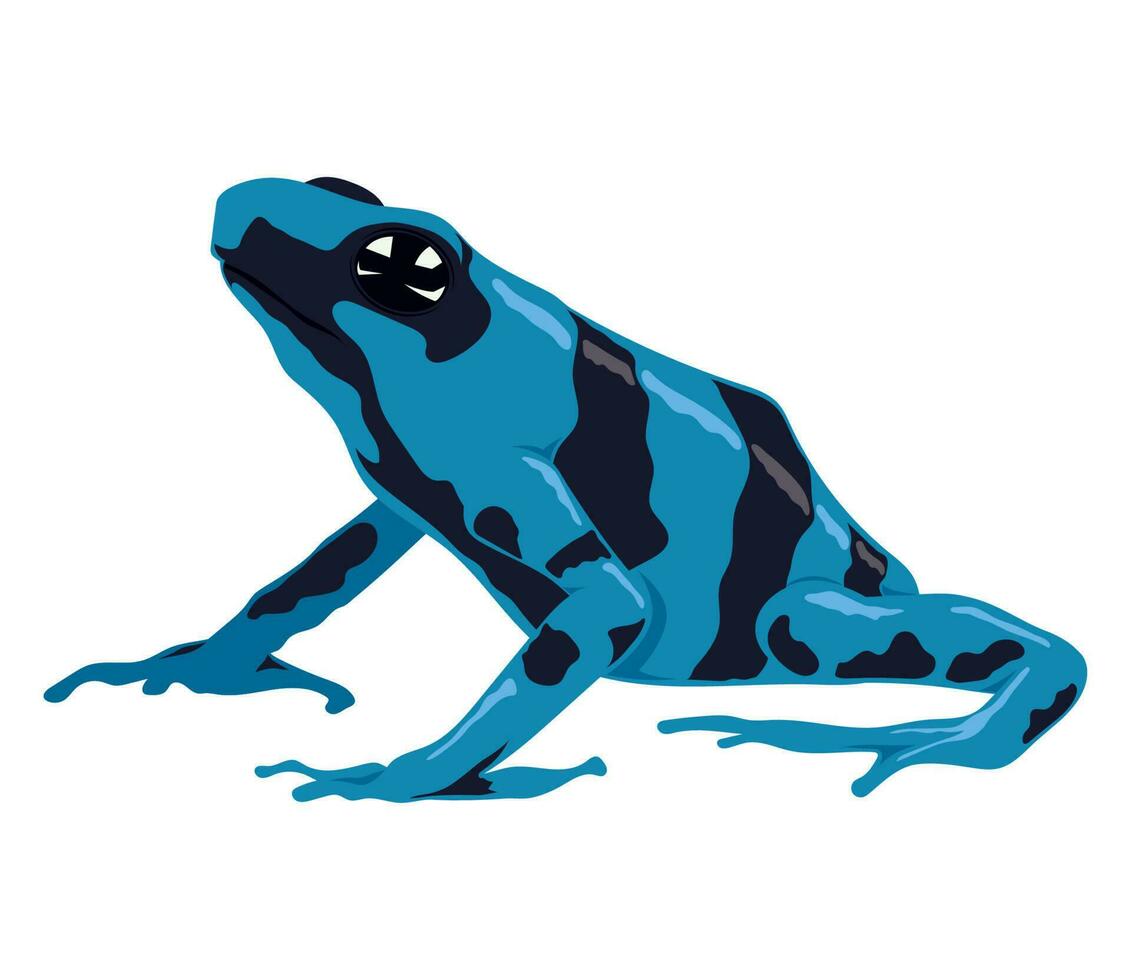 blue and black frog amphibian animal vector