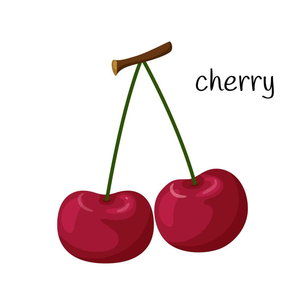Two cherries on a twig. Fruit, berry icon. Flat design. Color vector illustration isolated on a white background.