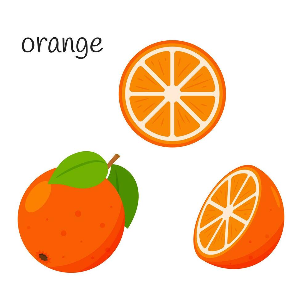 Whole orange with leaves, half and slice. Citrus fruit icon. Flat design. Color vector illustration isolated on a white background.