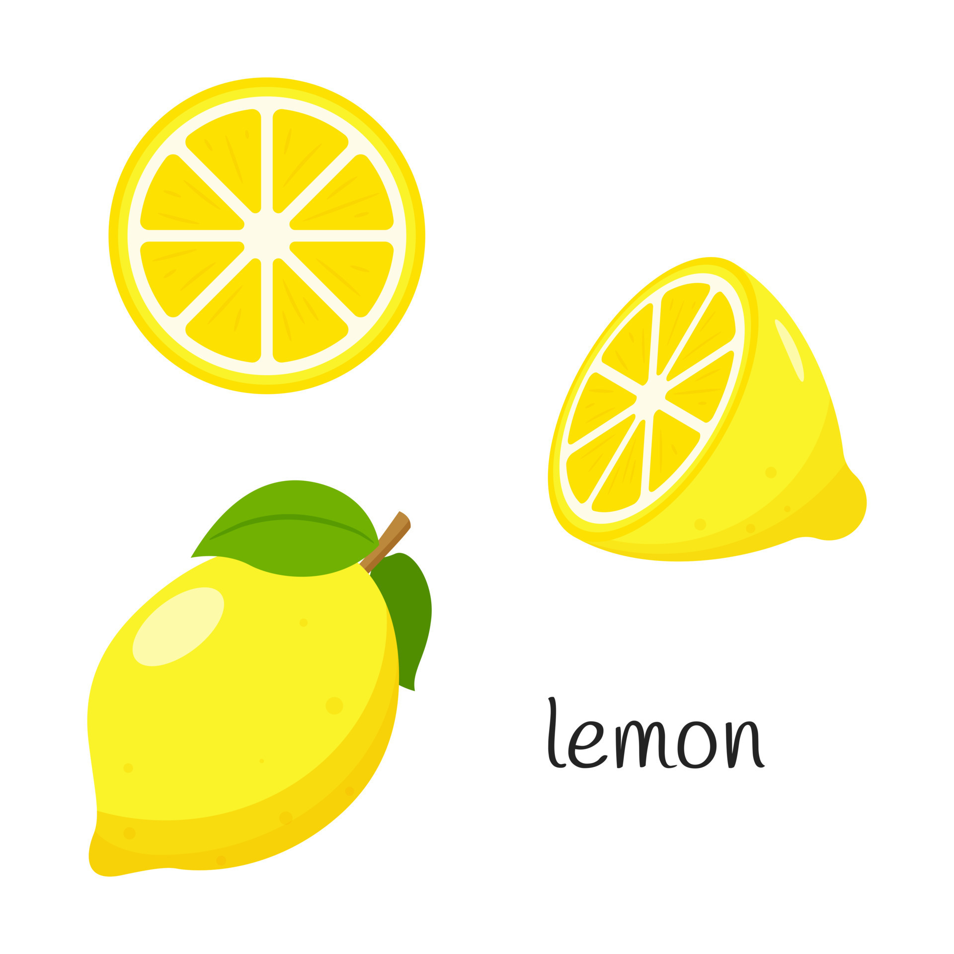 Whole lemon with leaves, half and slice. Citrus fruit icon. Flat design