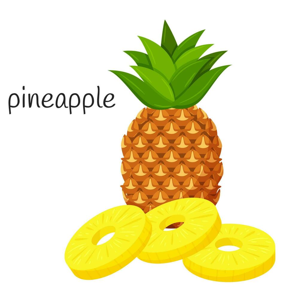 Pineapple whole with leaves and round peeled slices lie on top of each other. Tropical, exotic fruit icon. Flat design. Color vector illustration isolated on a white background.