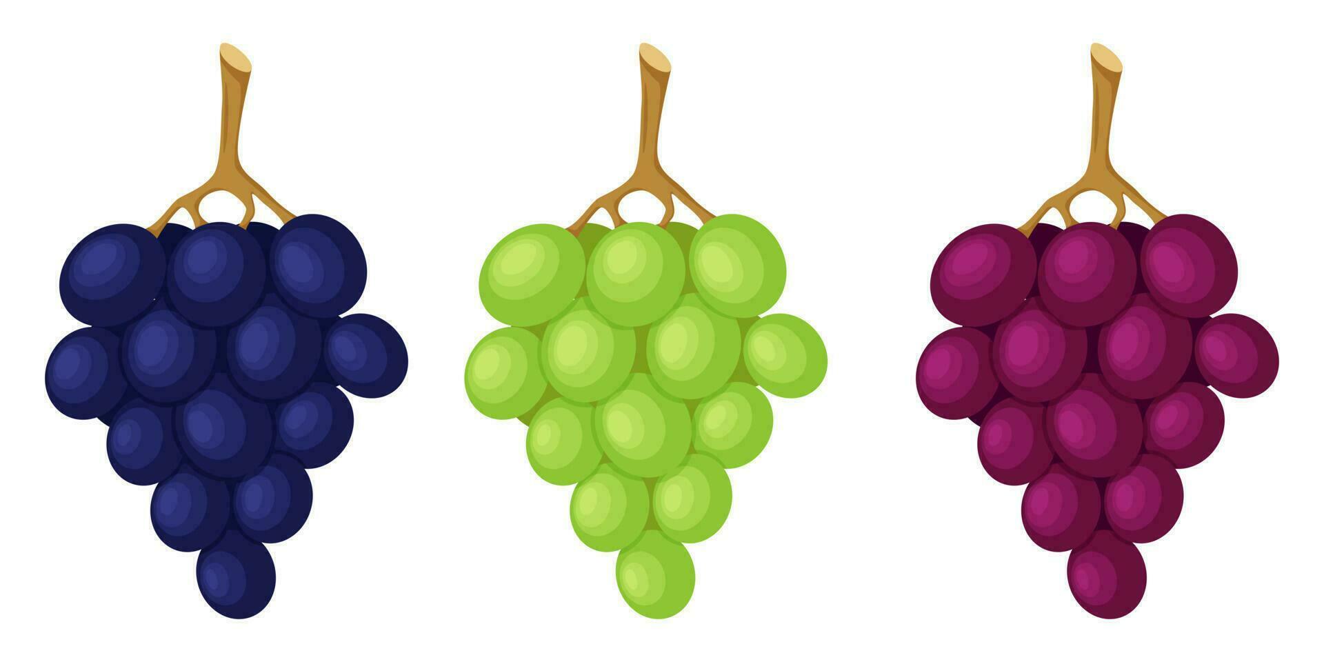 Grapes on a twig, green and blue berries. Fruit, berry icon. Flat design. Color vector illustration isolated on a white background.