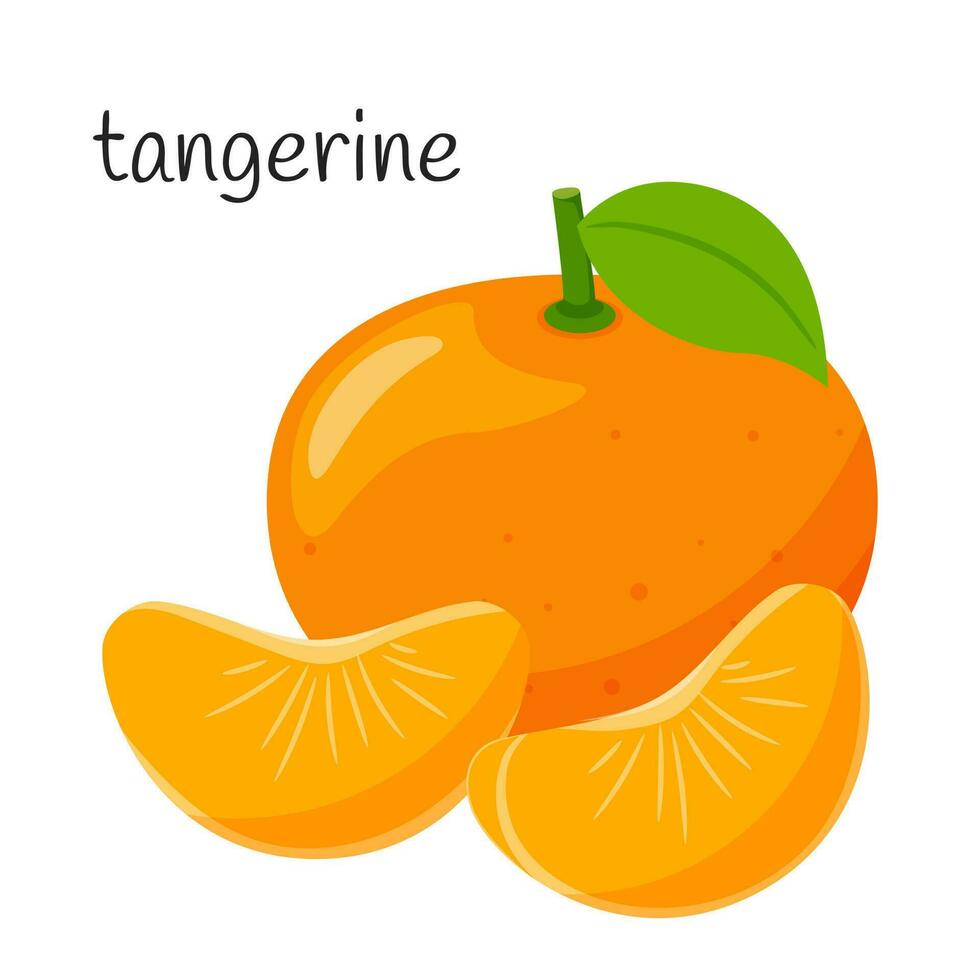Whole tangerine with leaves and two slices next to each other. Fruit, berry icon. Flat design. Color vector illustration isolated on a white background.