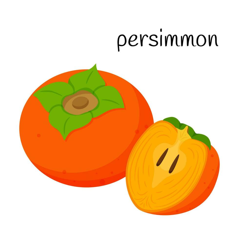 A whole persimmon fruit and a cut half with seeds and pulp. Exotic fruit icon. Flat design. Color vector illustration isolated on a white background.
