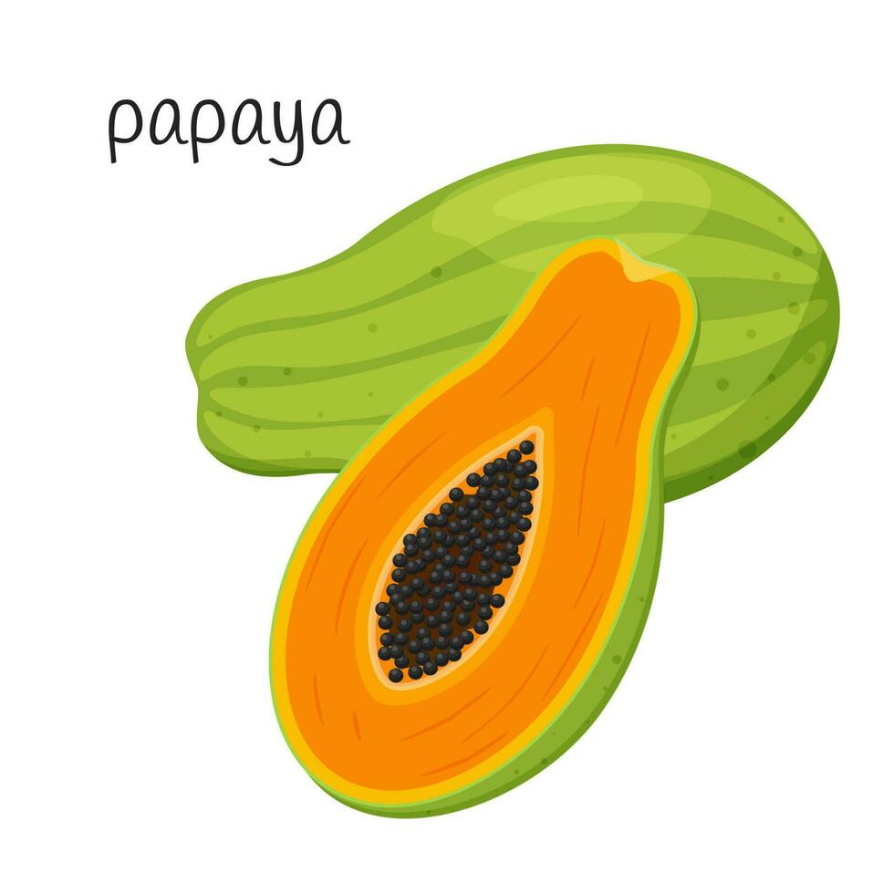 Whole Papaya and cut half with seeds and pulp. Exotic, tropical fruit icon. Flat style. Color vector illustration isolated on a white background.