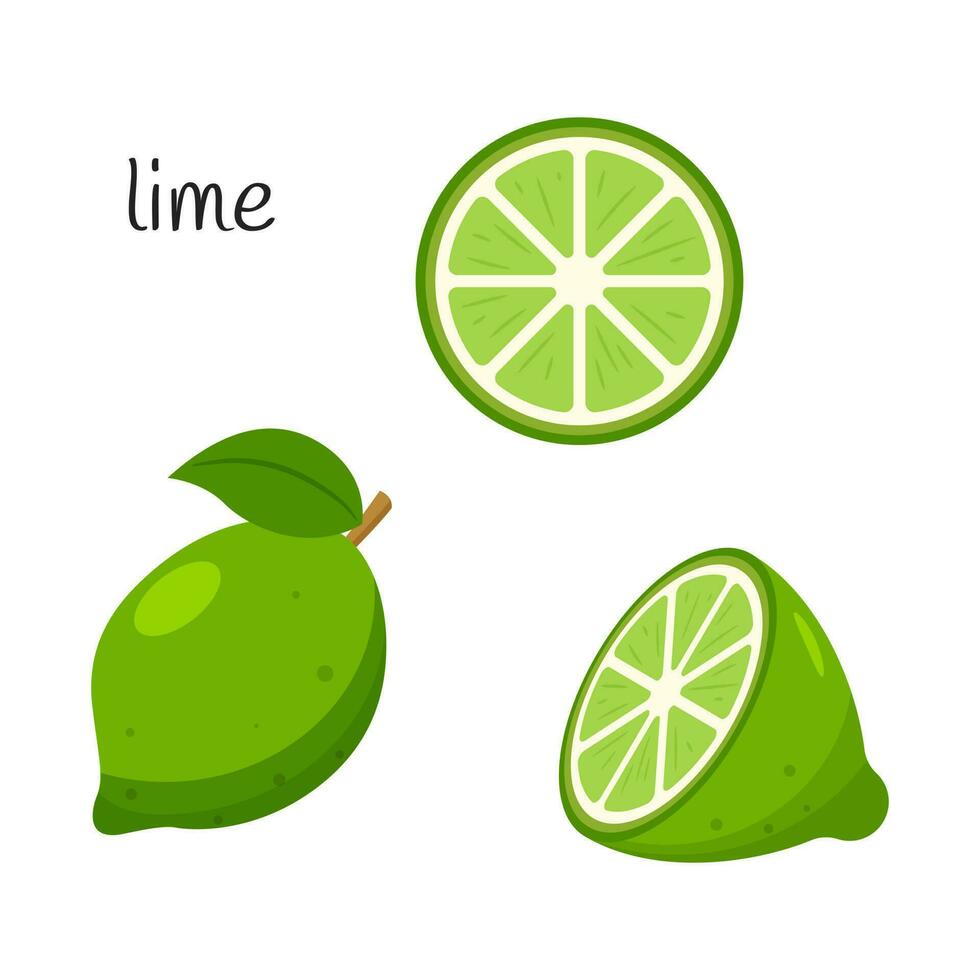 Whole lime with leaves, half and slice. Citrus fruit icon. Flat design. Color vector illustration isolated on a white background.
