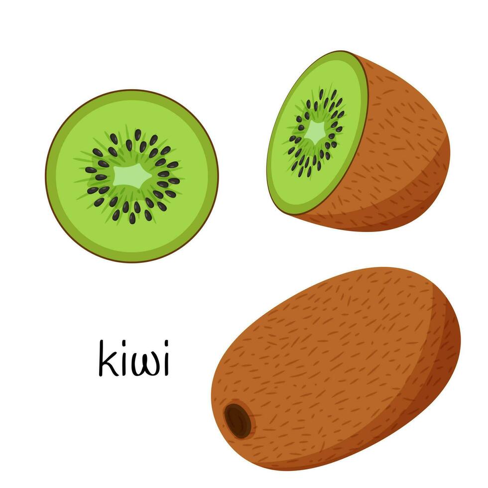 Kiwi fruit whole, cut half and slice. Fruit icon. Flat design. Color vector illustration isolated on a white background.