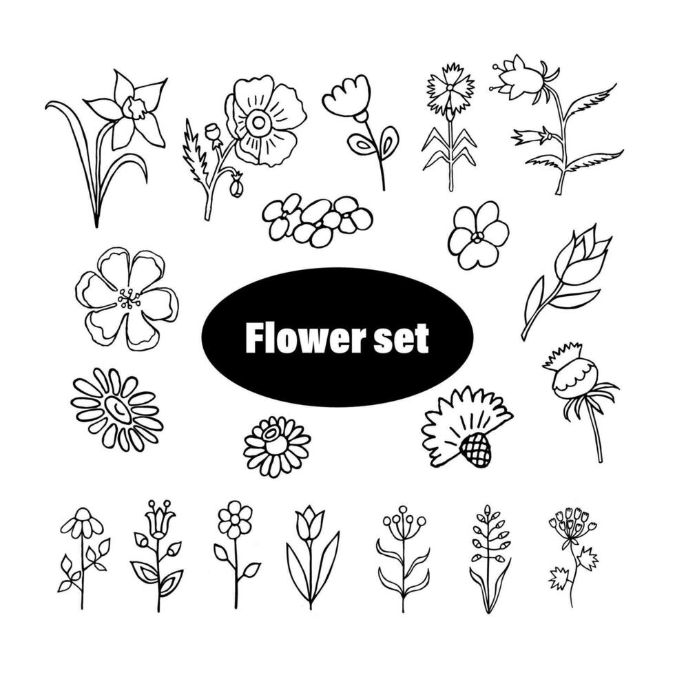 set of doodle flowers on white background, vector contour flowers