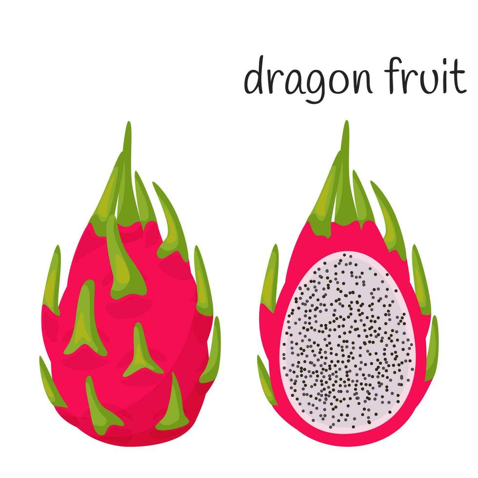 A whole dragon fruit in the skin with leaves and cut half with seeds and pulp. Exotic, tropical fruit icon. Flat style. Color vector illustration isolated on a white background.