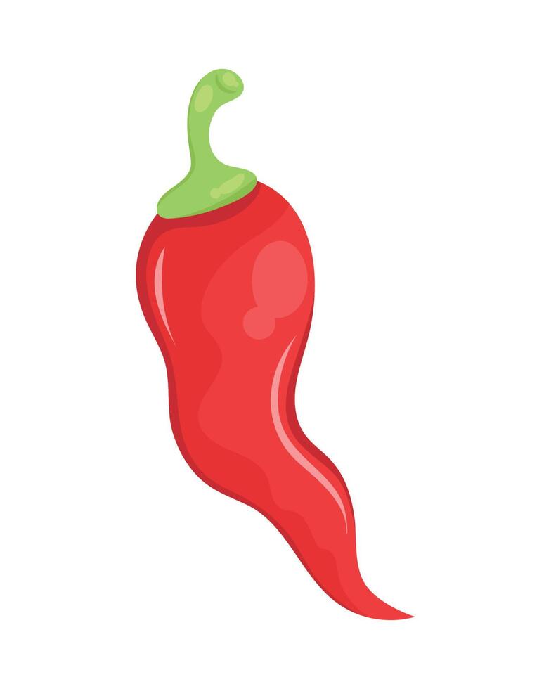 red chilli pepper vegetable food vector