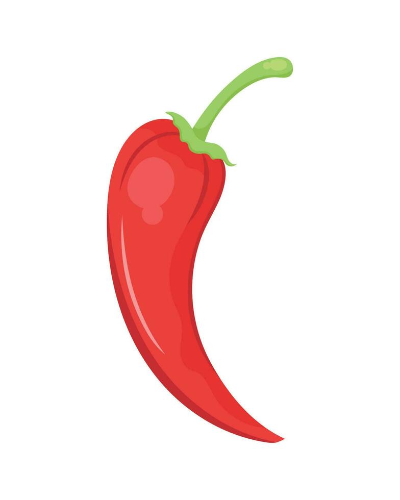 red jalapeno chilli pepper vegetable vector