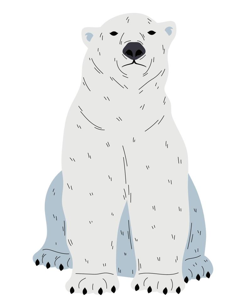 Cute arctic bear sitting over white vector
