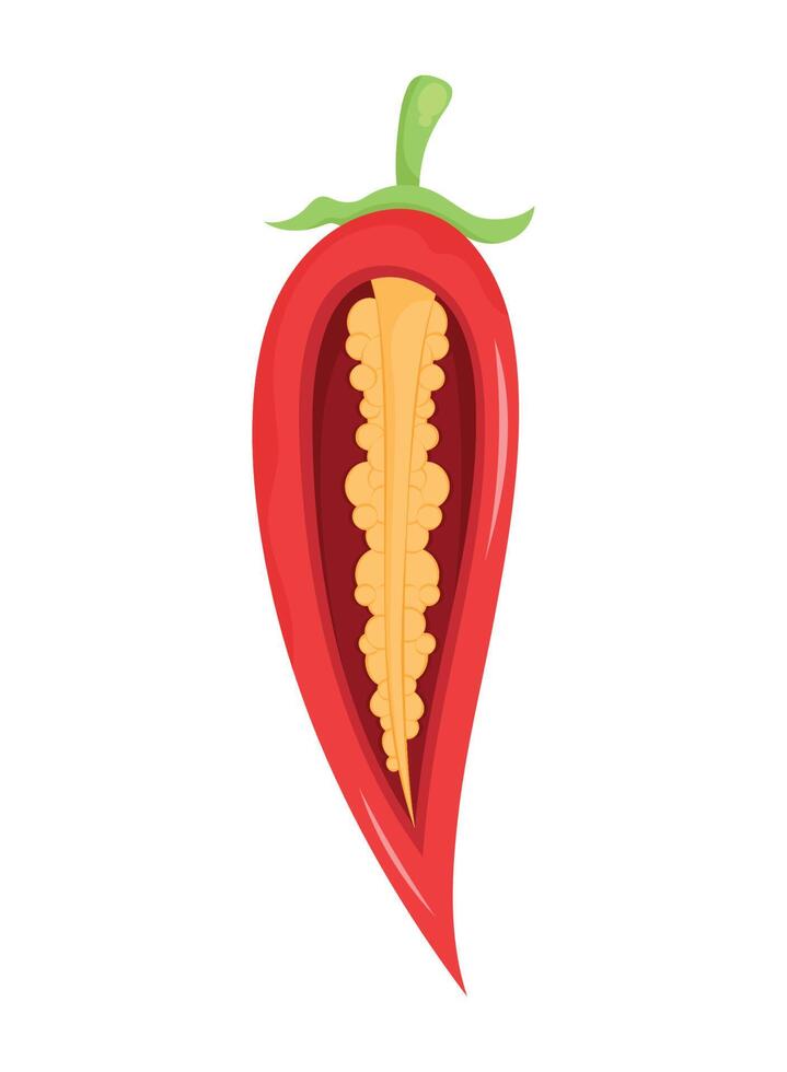 red chilli pepper vegetable half vector