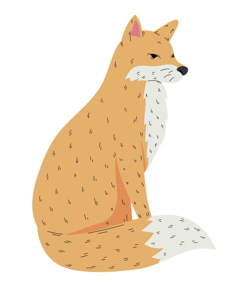 Fluffy fox sitting over white vector