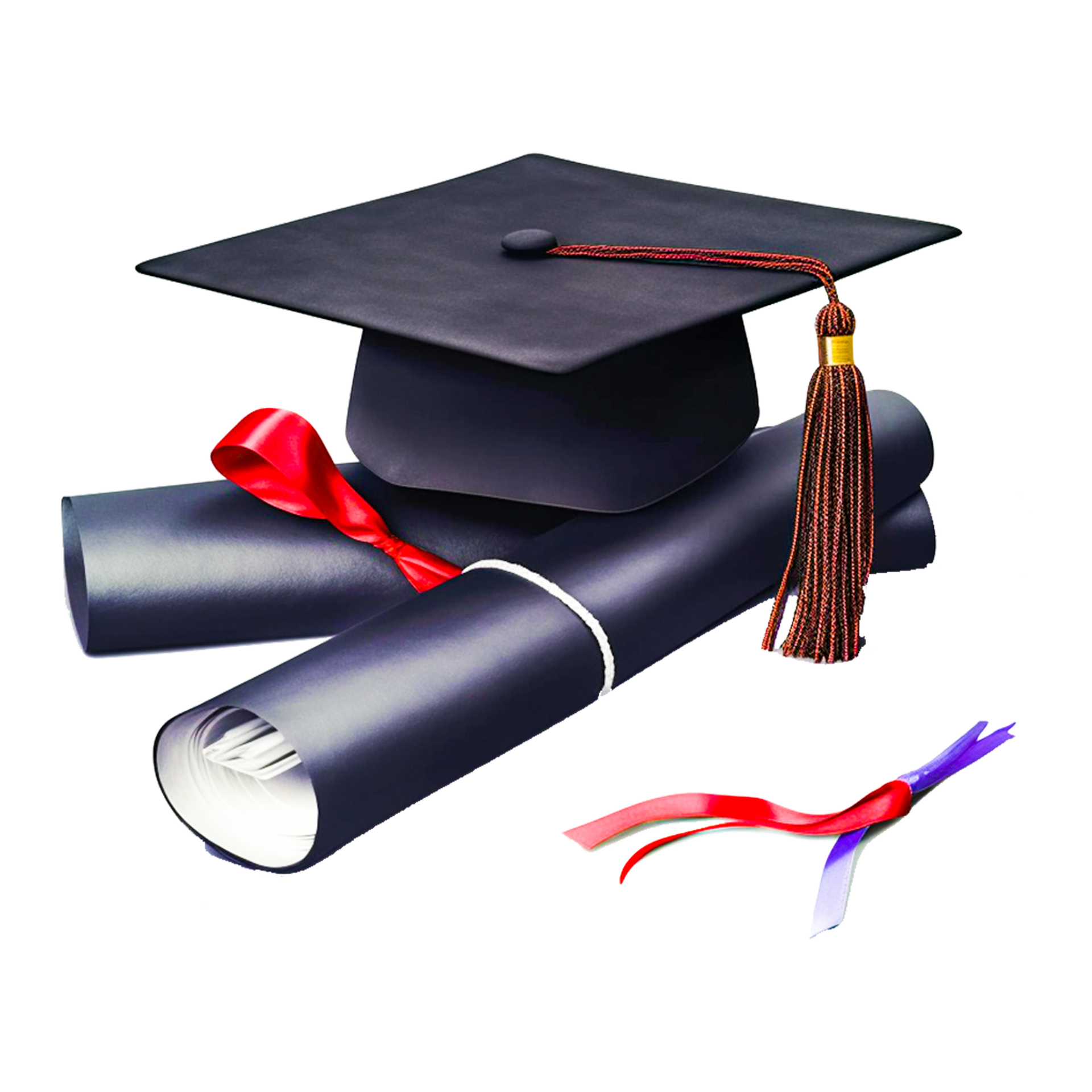 Mortar board and diploma 24490305 PNG