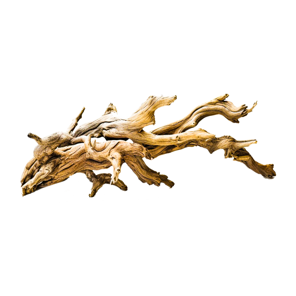 Teak Driftwood Sculpture png