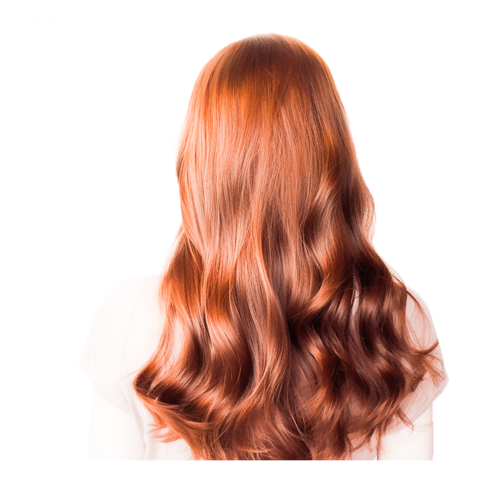 blonde hair back view png