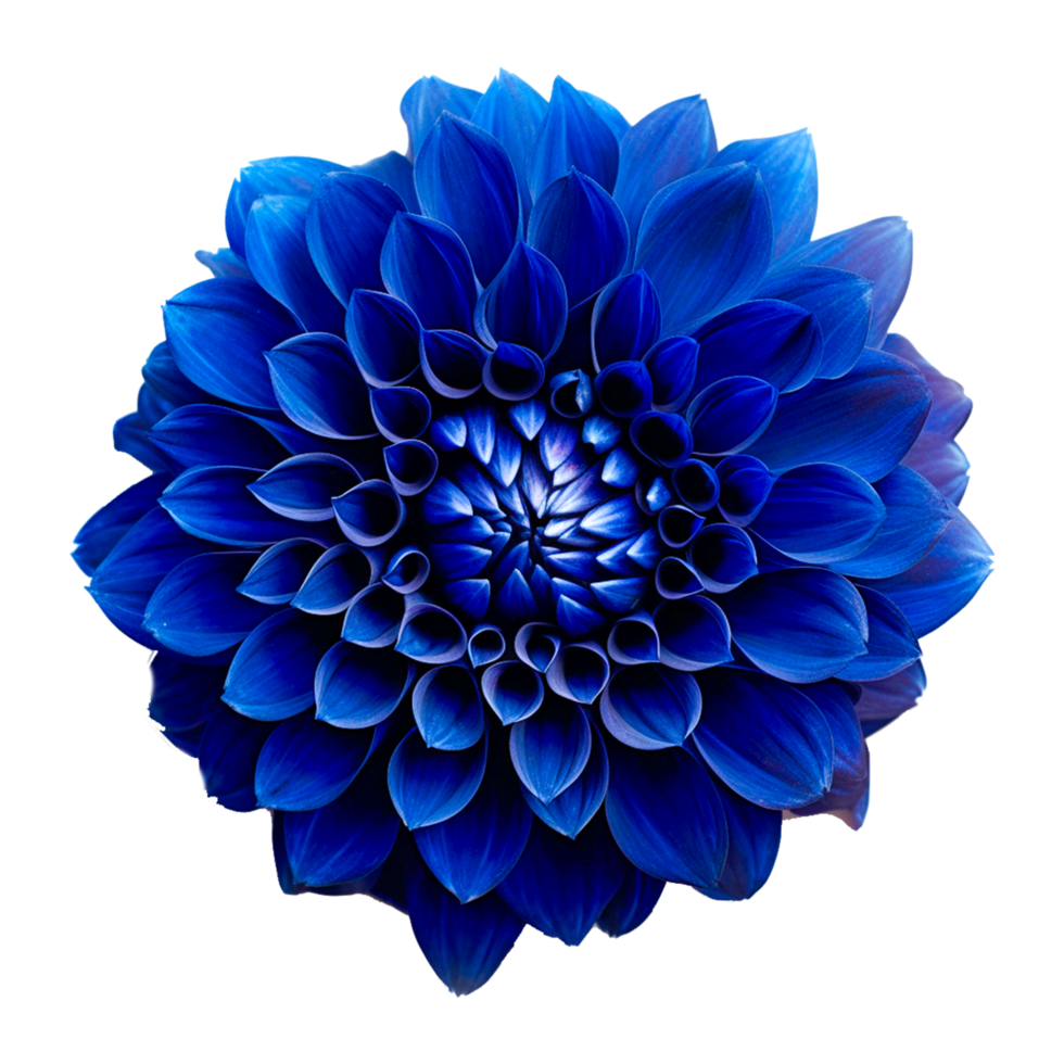 Surreal dark chrome blue flower png