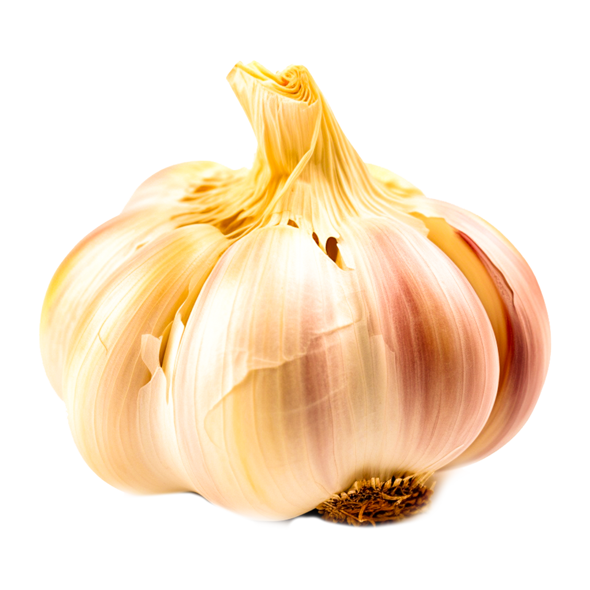 Garlic Onion Vegetable AI Generative 24490697 PNG