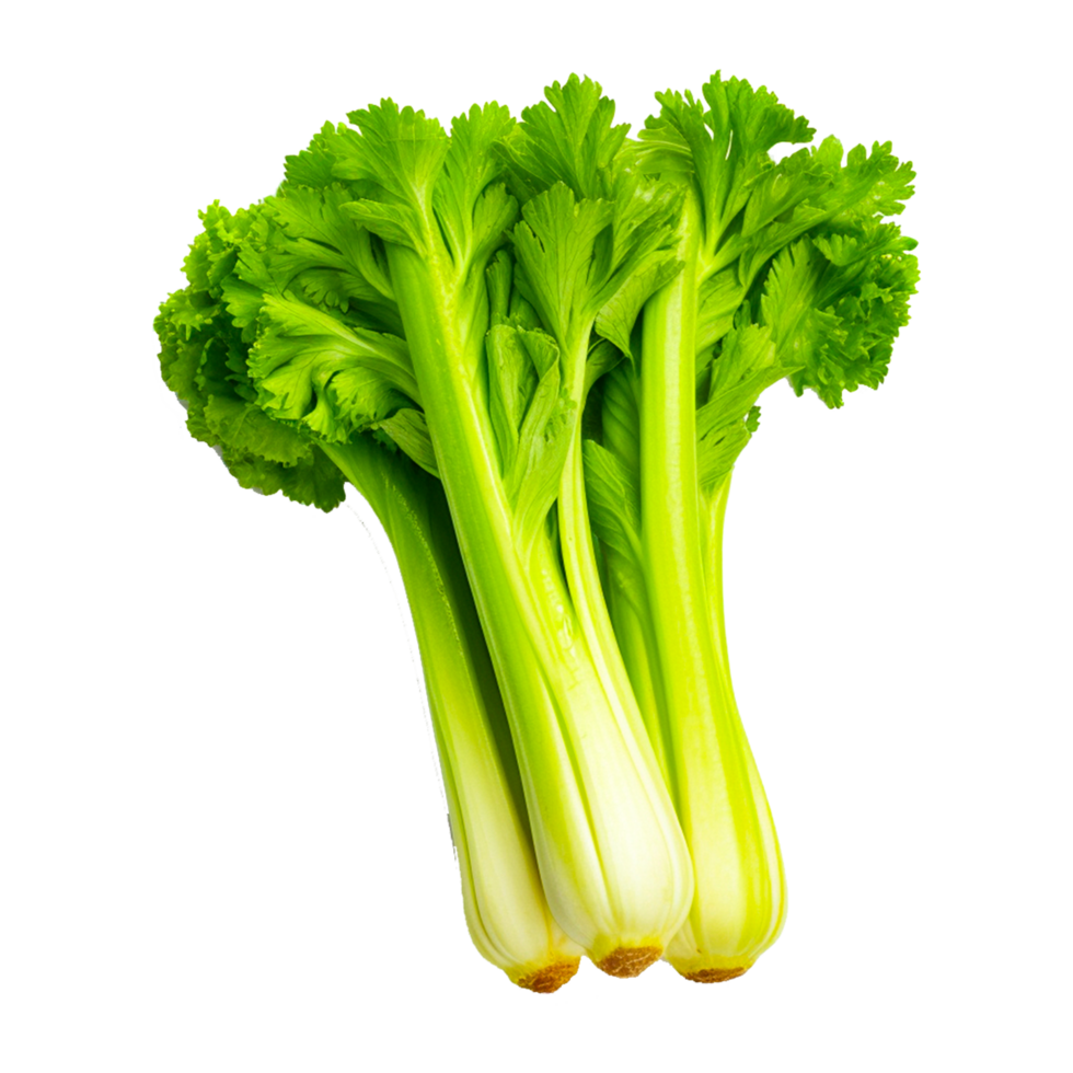 Celery leaves AI Generative png