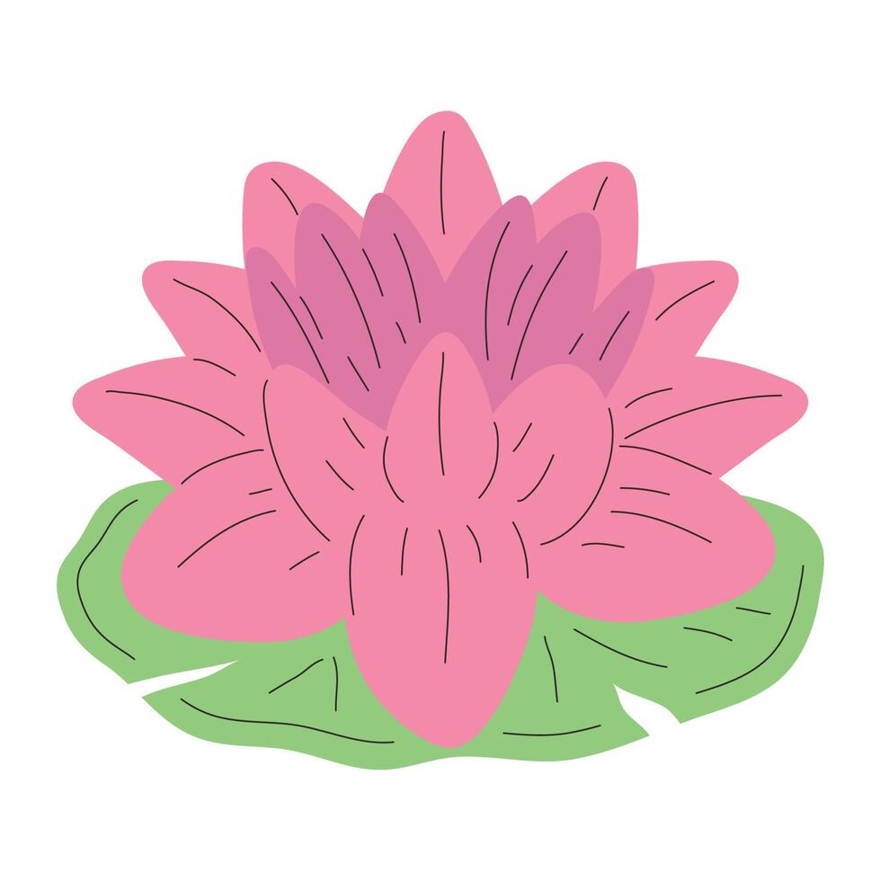 rosado loto flor flotante icono vector