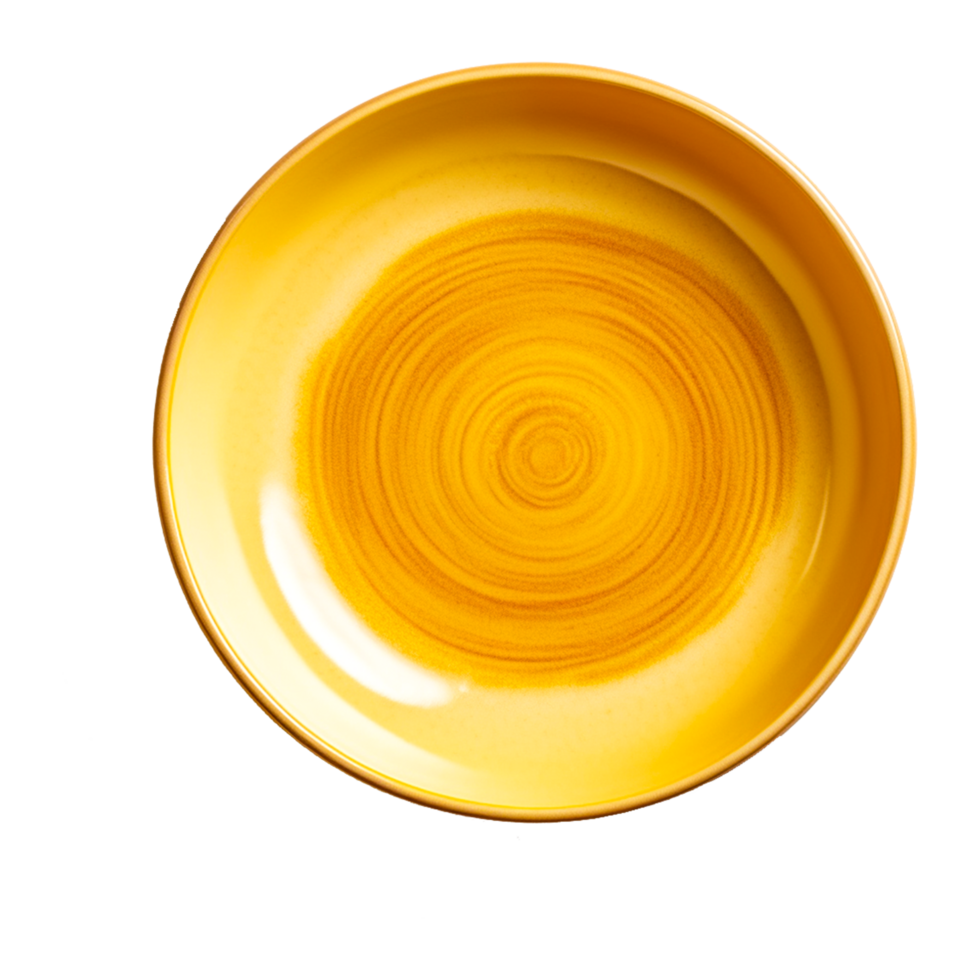 Empty Dog Bowl png