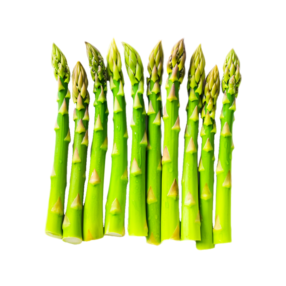 Asparagus related set 24491537 PNG