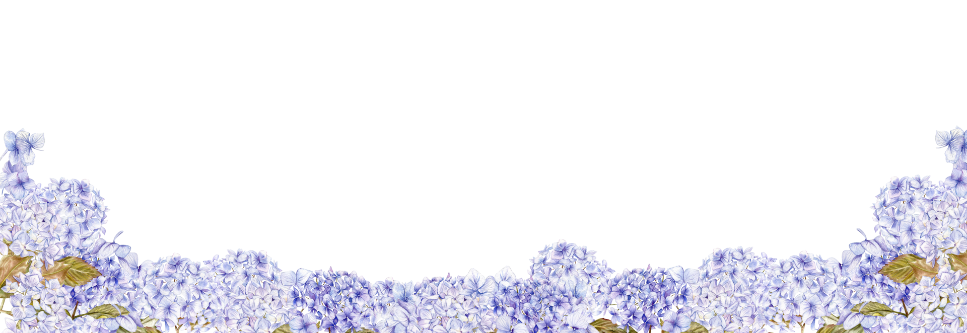 Watercolor horizontal seamless background with blue hydrangea . png