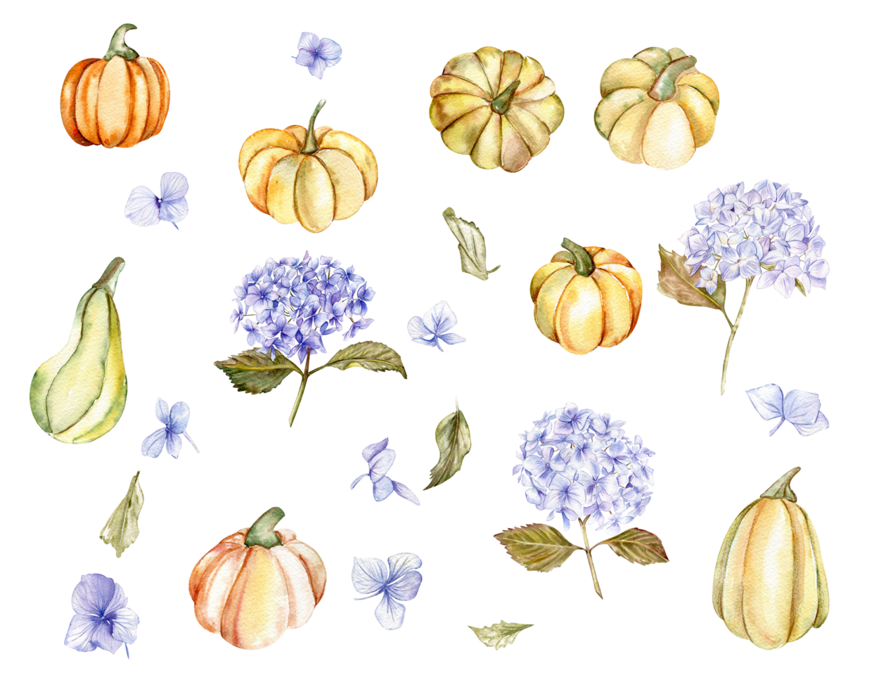 autunno impostato con blu ortensia e zucche. png