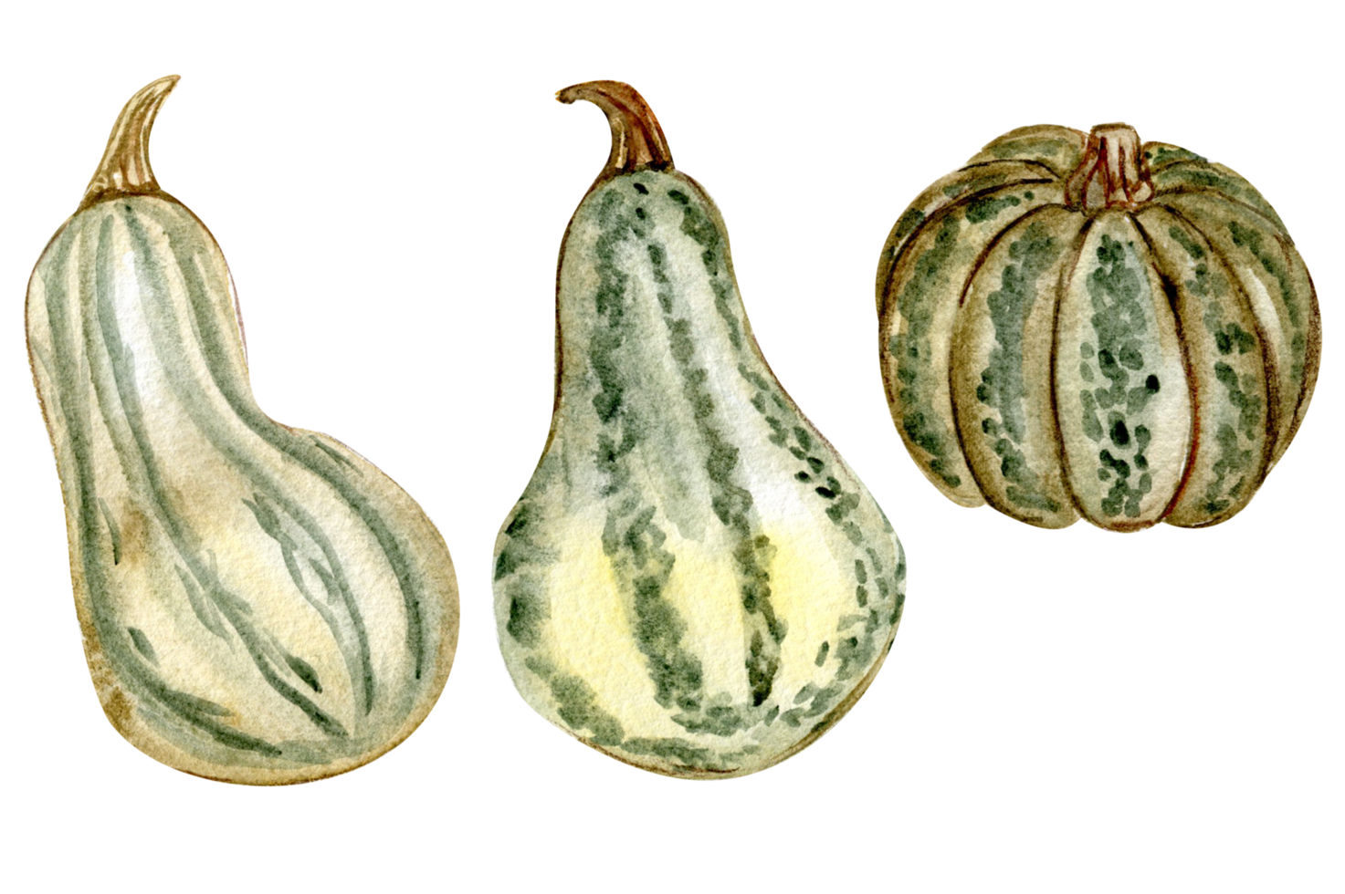 Fall set with pumpkins. png