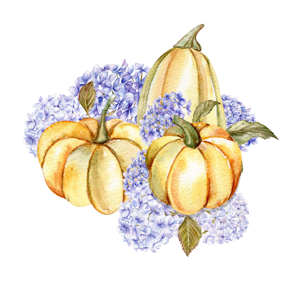 Fall composition with blue hydrangea and pumpkins. png