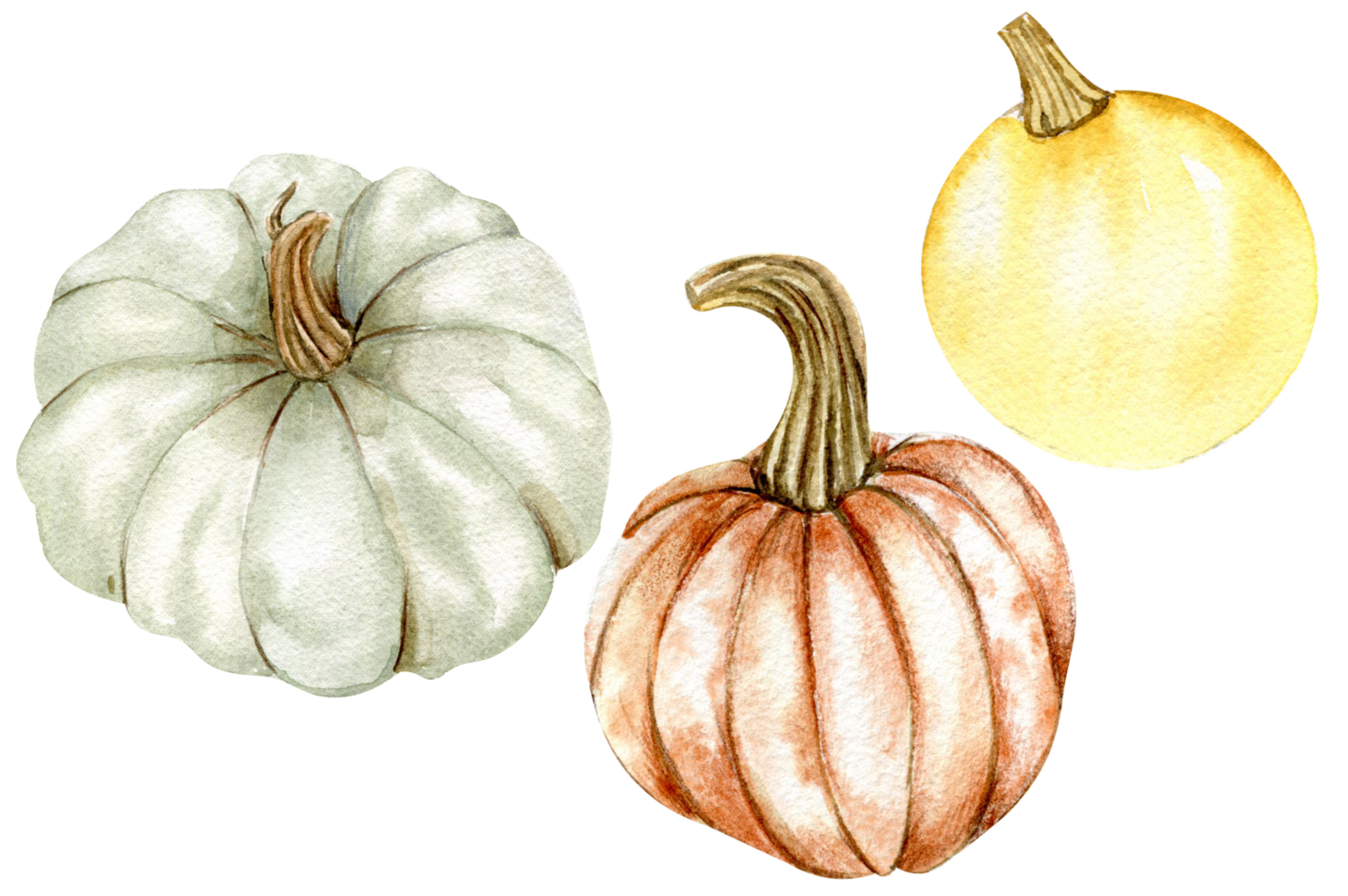 Fall set with pumpkins. png
