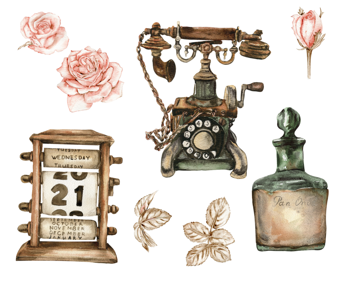acuarela ilustración conjunto de antiguo oxidado elementos con rosas flores png