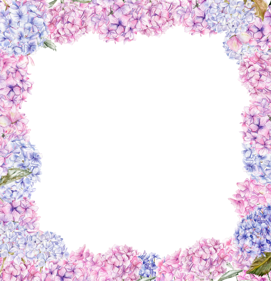 Autumn square frame with blue and pink hydrangea. png