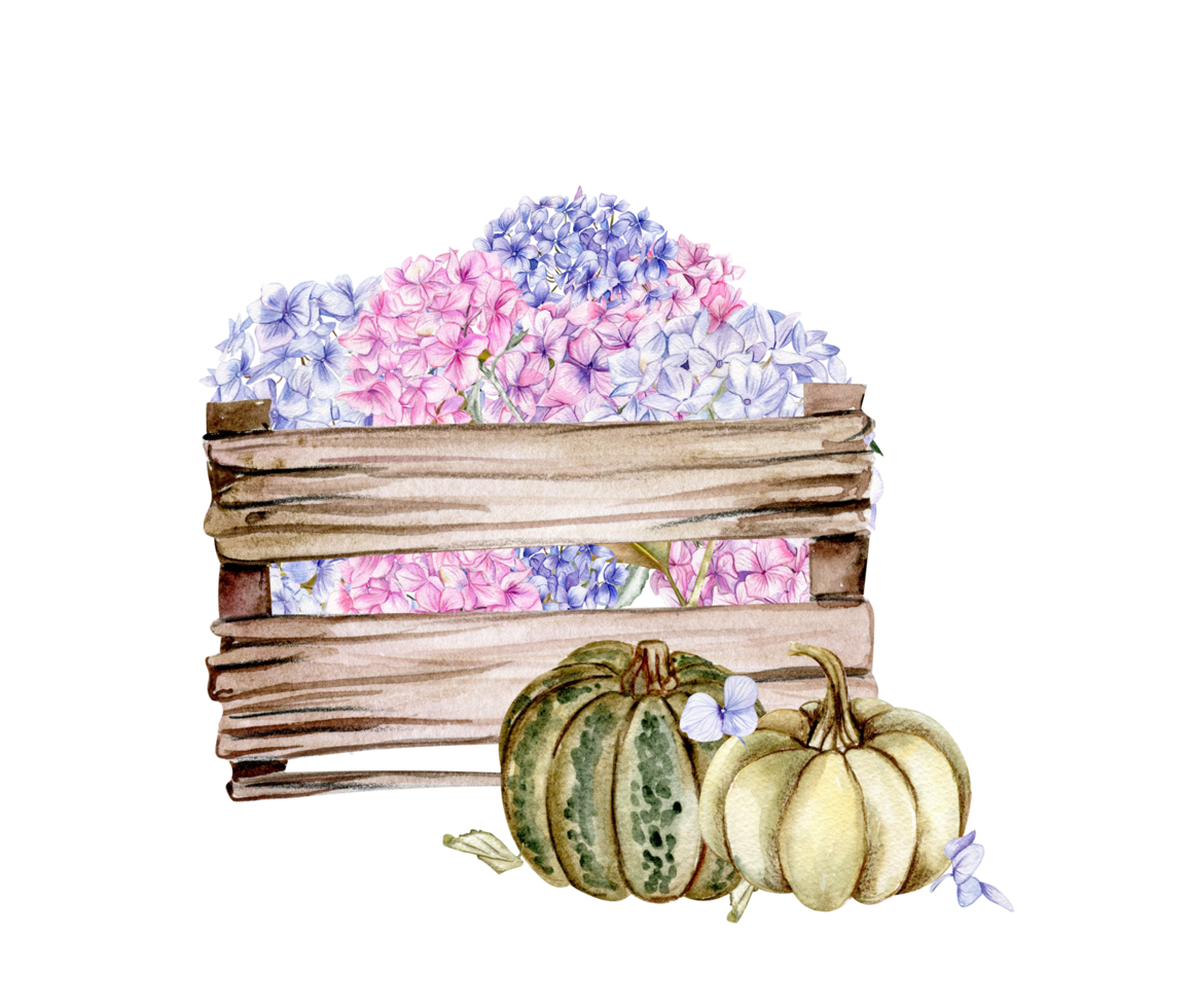 Fall composition with pink hydrangea and pumpkins. png