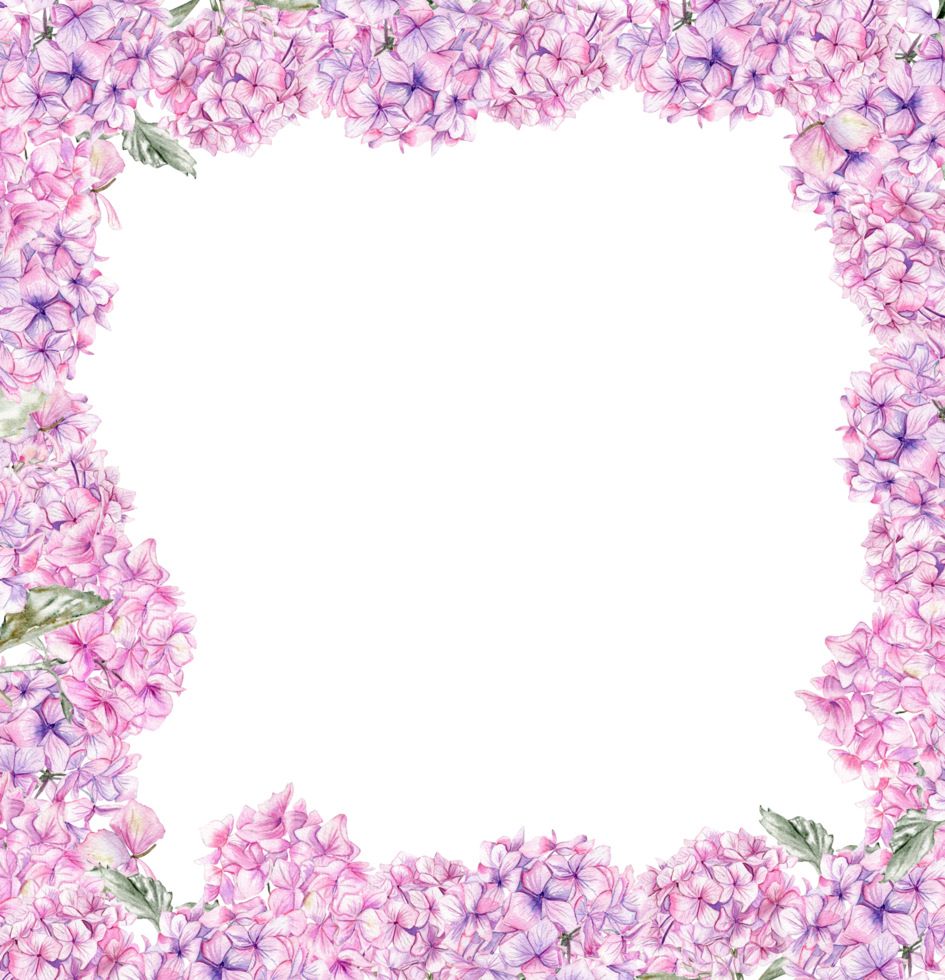 Autumn square frame with pink hydrangea. png