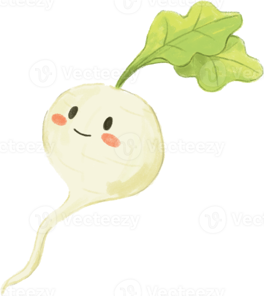 Cute and funny cartoon radish vegetable characters clipart with face emoticon in hand drawn crayons for decoration. png