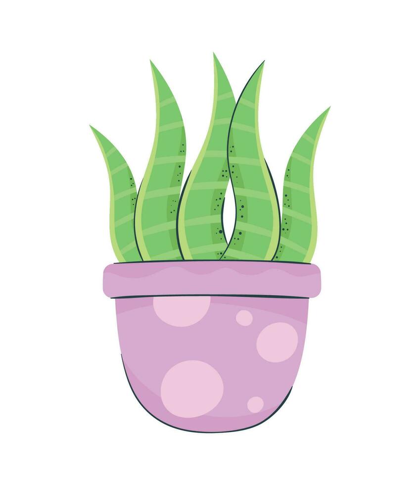 houseplant in purple pot icon vector