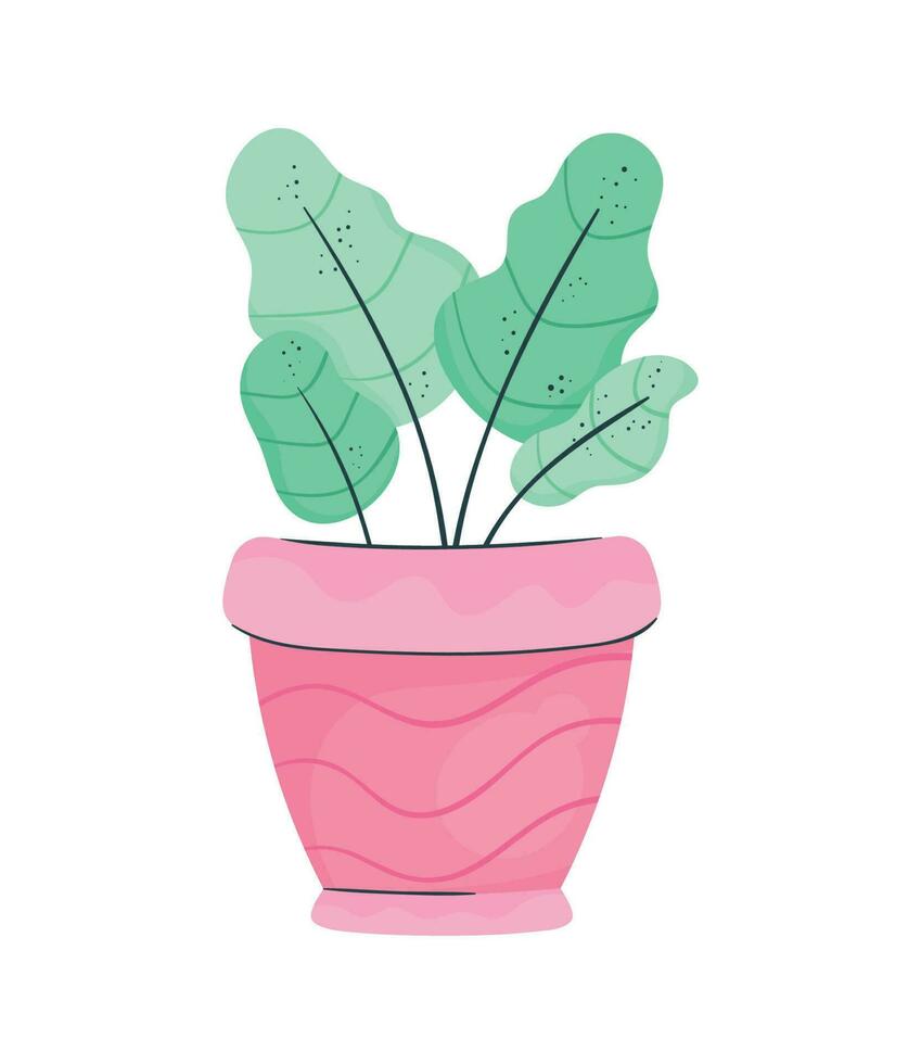 houseplant in pink pot nature icon vector