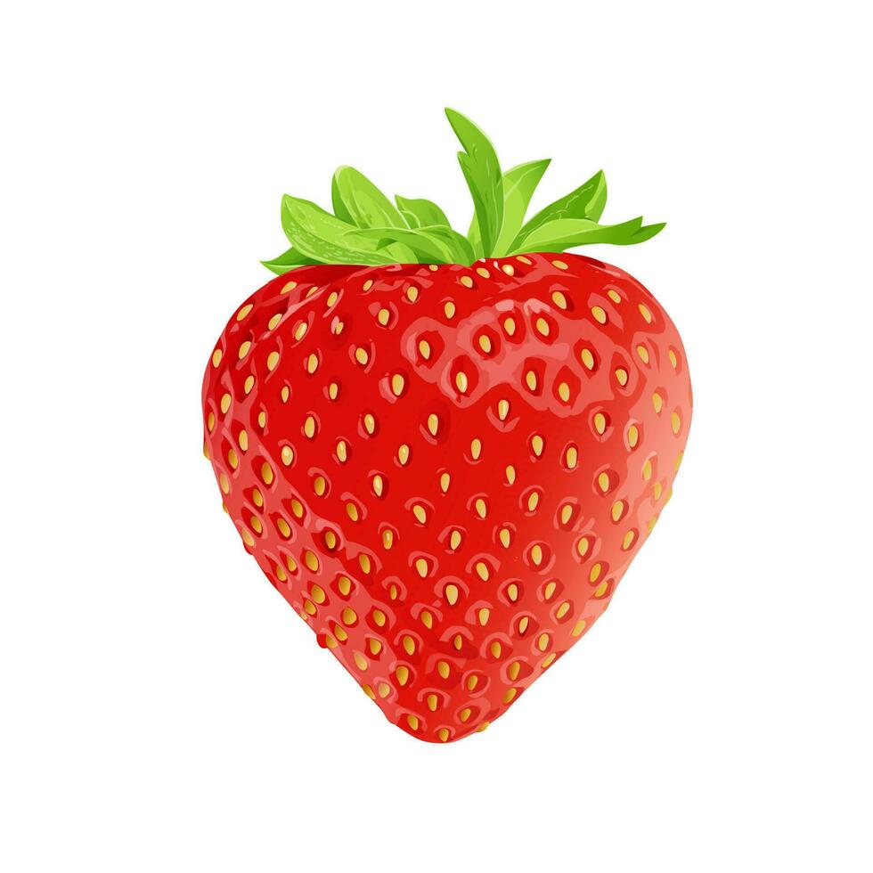 strawberry isolated on white vector