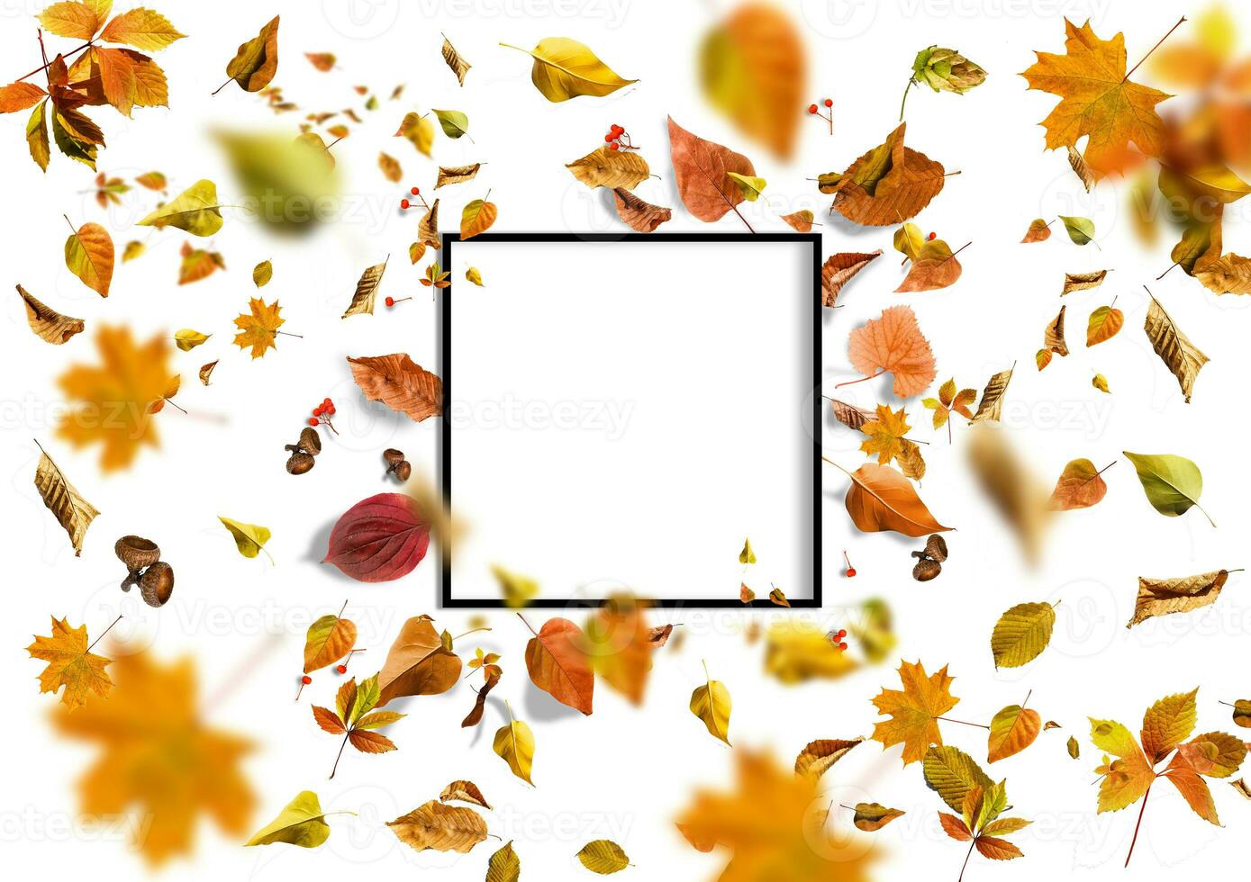 border frame of colorful autumn leaves isolated on white photo