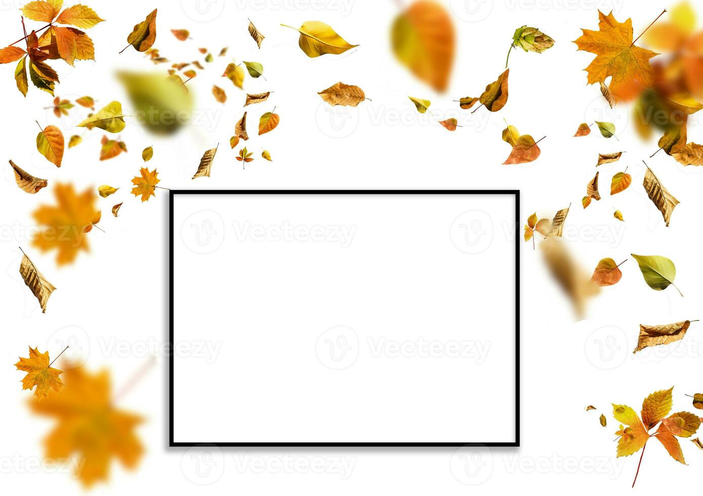 Autumn background. autumn leaves and frame for text photo
