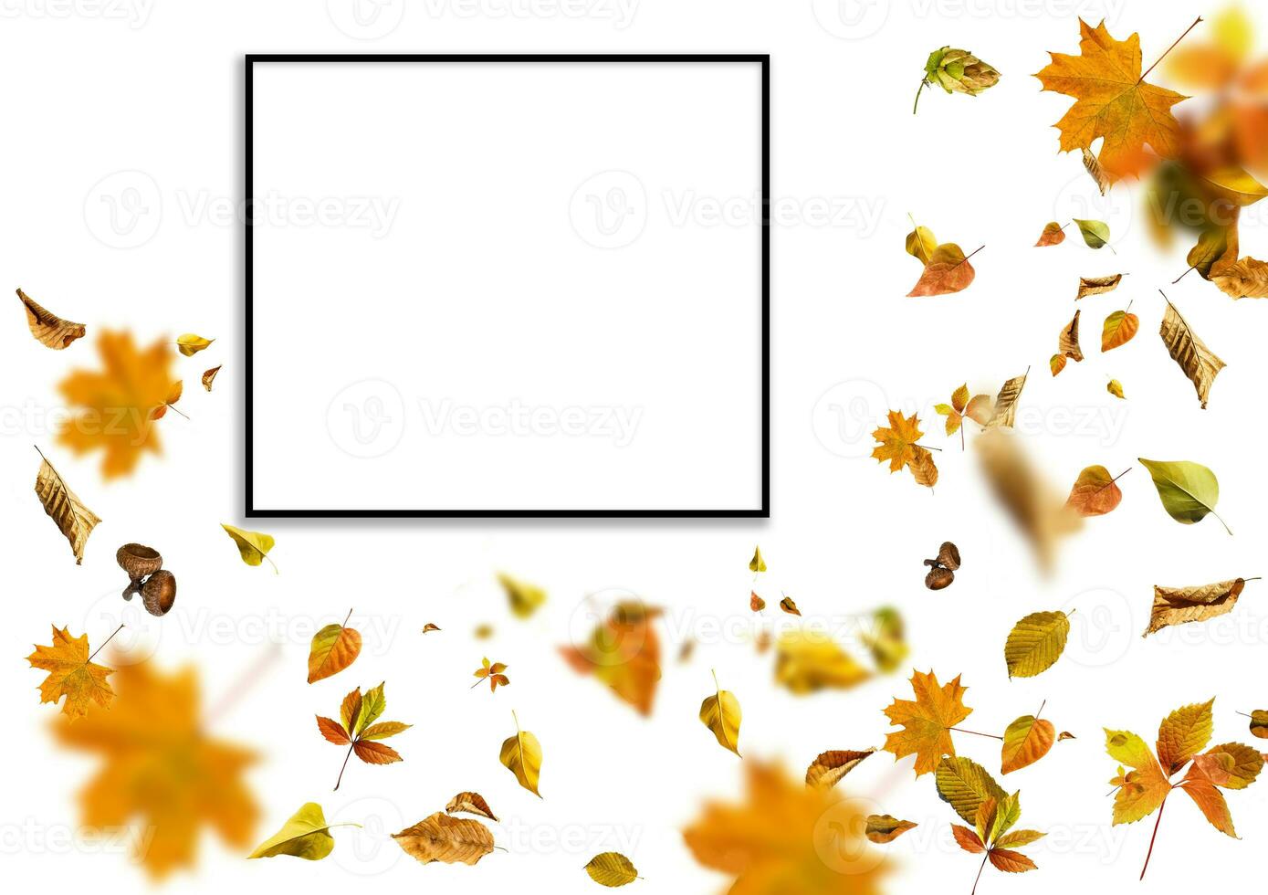 Autumn background. autumn leaves and frame for text photo