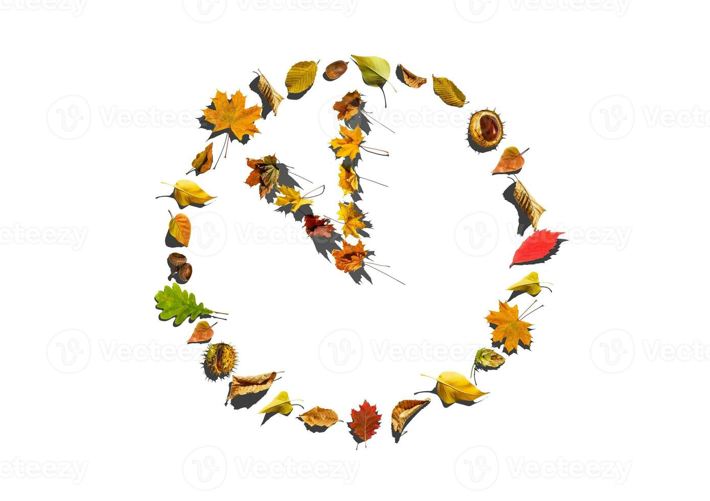 The watch dial from the leaves on a white background photo