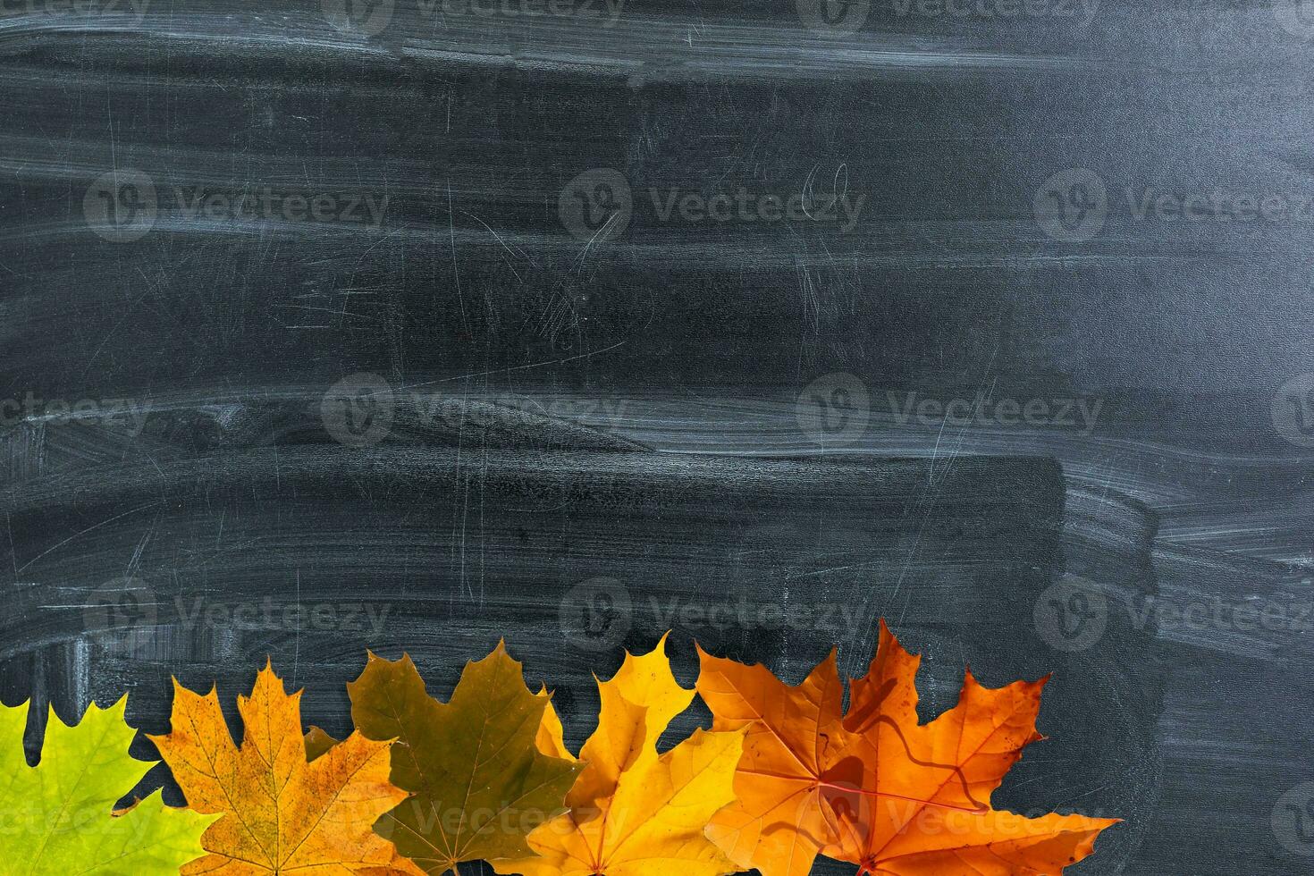 Autumn background with fall leaves. Black chalkboard in center with copy space for your text. Cozy Autumn Still Life. Back to School Concept. photo